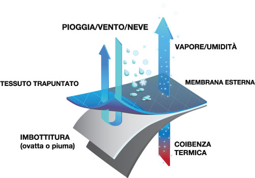 itttai info