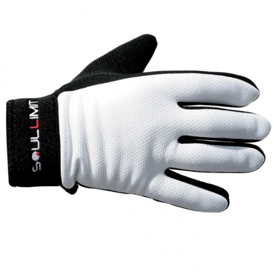 Winter thermo glove